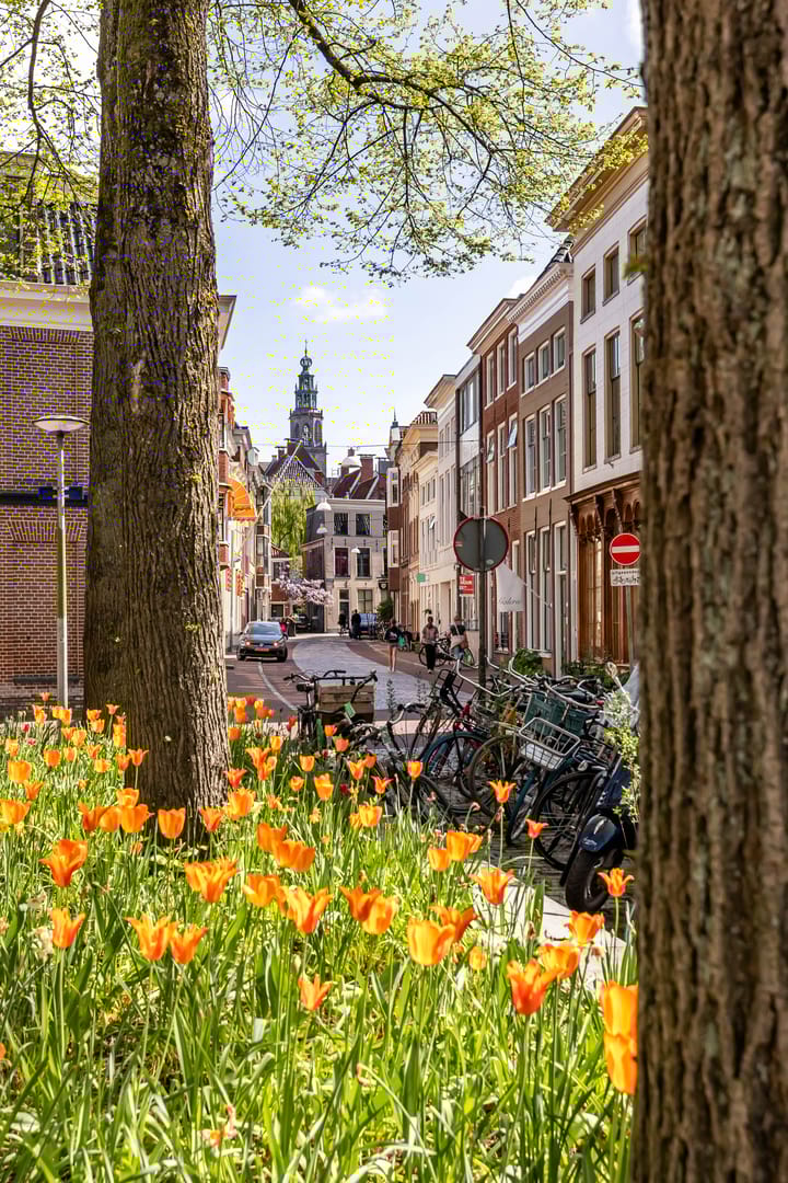 Foto 57 van Turftorenstraat 38