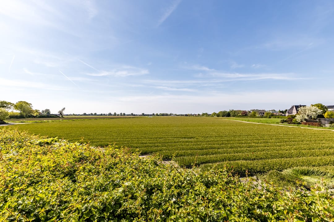 Foto 32 van Veenenburgerlaan 11