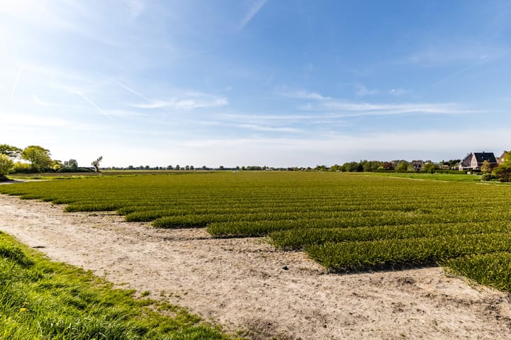 Foto 38 van Veenenburgerlaan 11