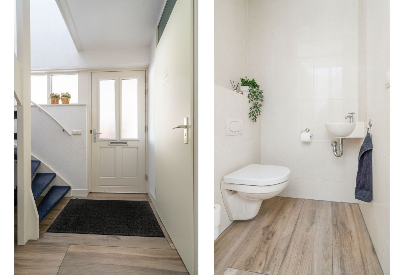 Foto 10 van Keizerskroon 44