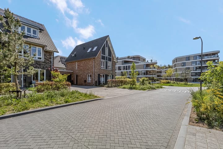 Foto 54 van Piet Romboutlaan 59