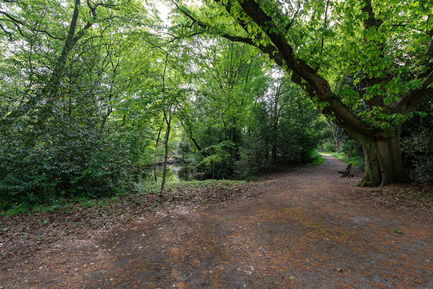 Foto 44 van Crosestein 1506