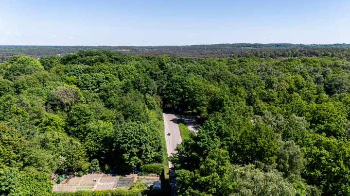 Foto 19 van Schaapskooiweg 25