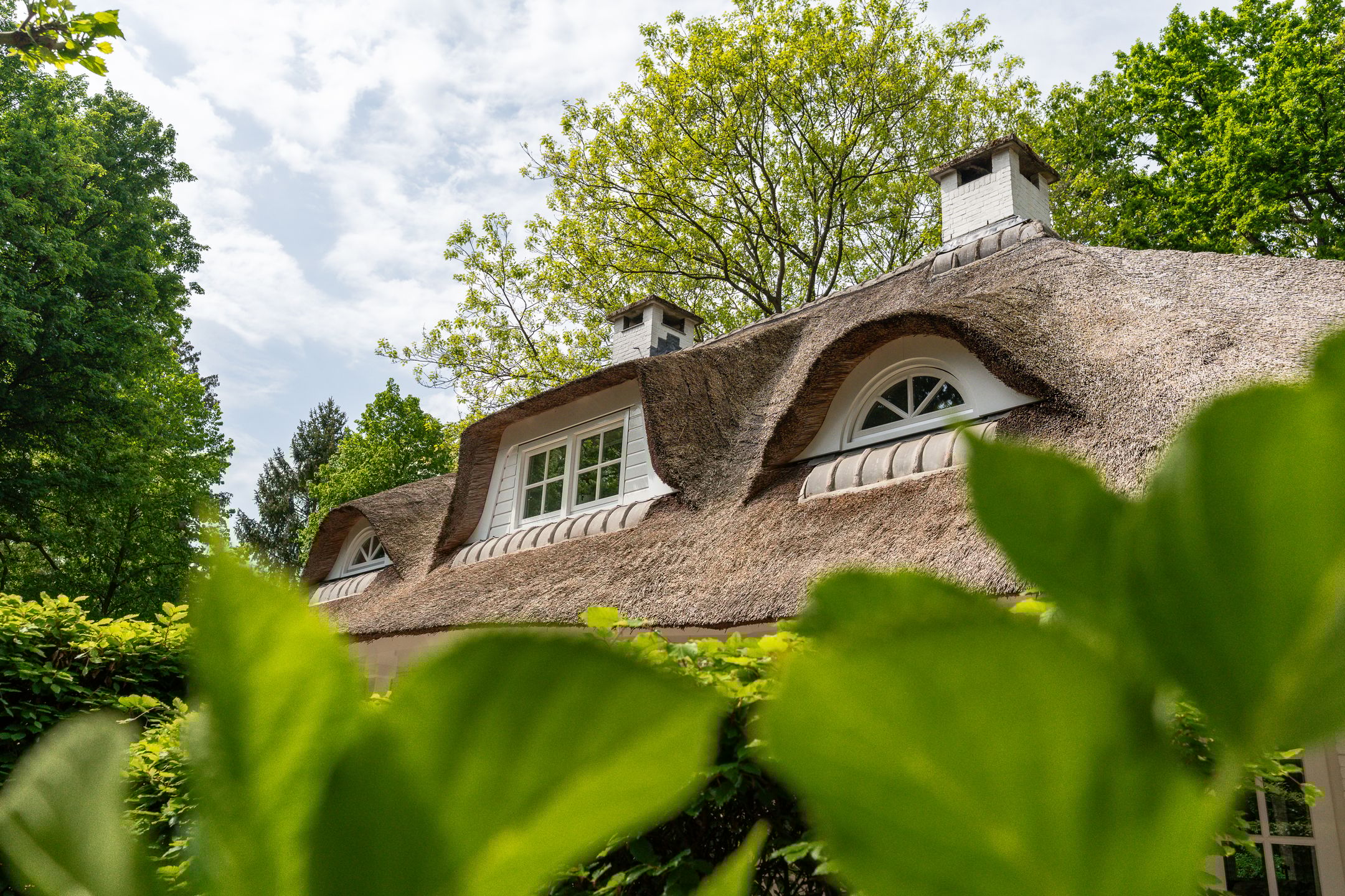 Foto 57 van Van der Helstlaan 4