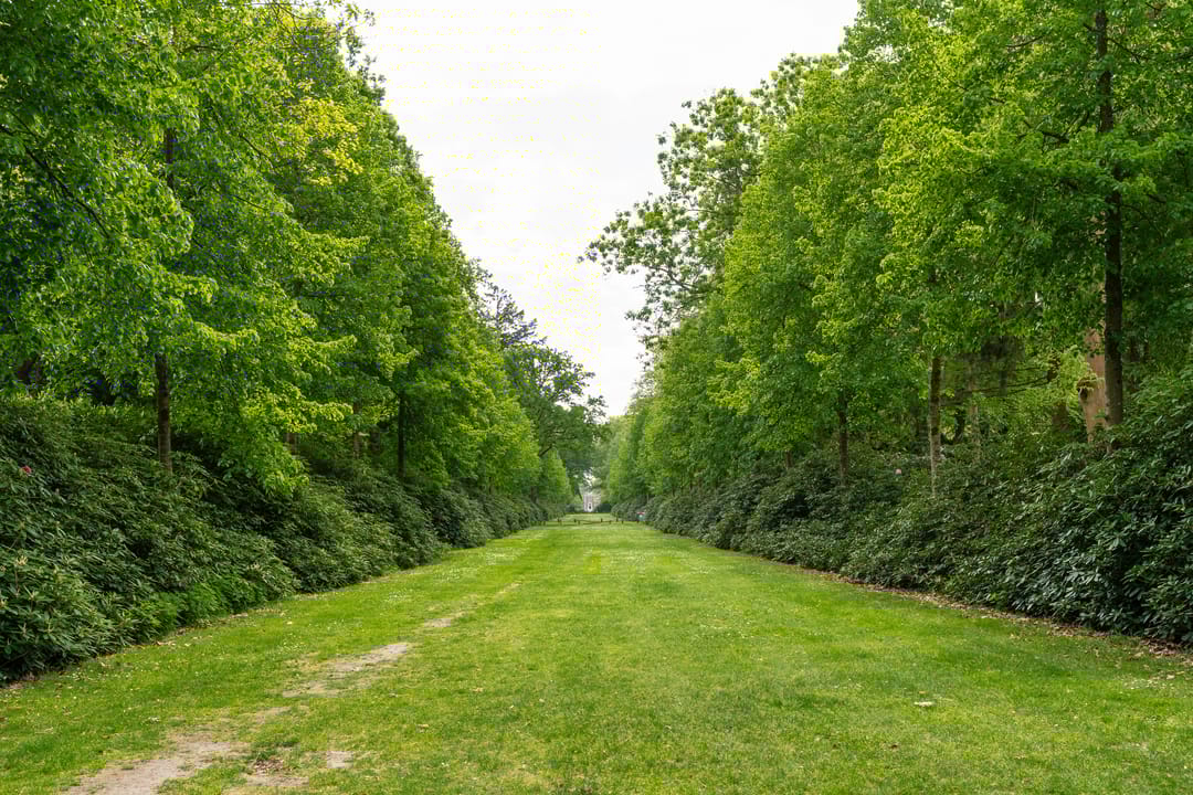 Foto 62 van Van der Helstlaan 4