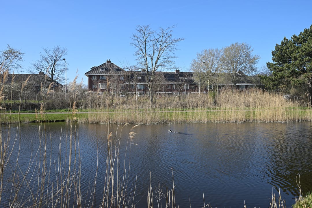 Foto 31 van Lobelialaan 156