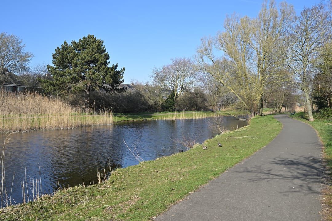 Foto 32 van Lobelialaan 156