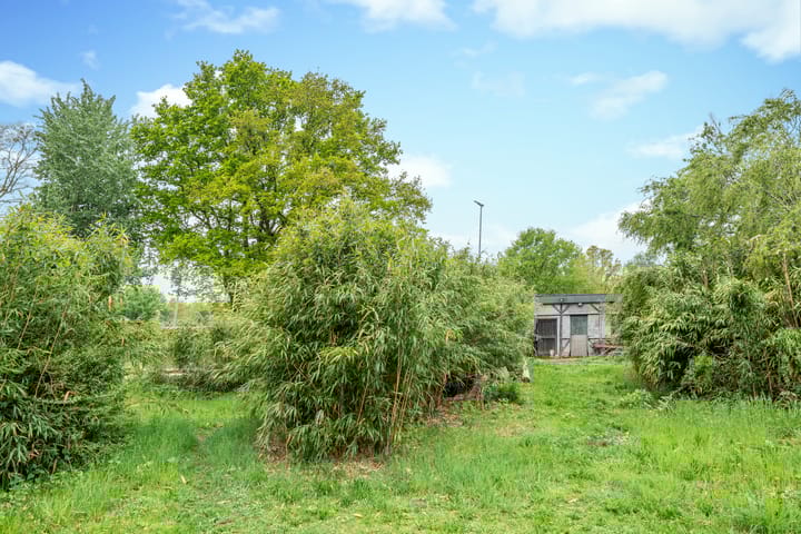 Foto 5 van Rijpelbergseweg 1