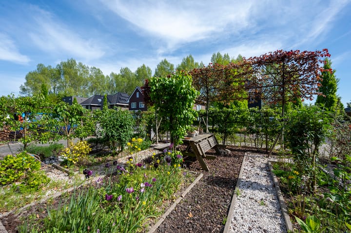 Foto 52 van Brikzeil 36