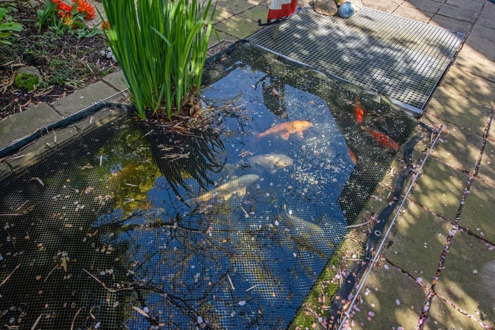 Photo 12 of Oostvoornestraat 6