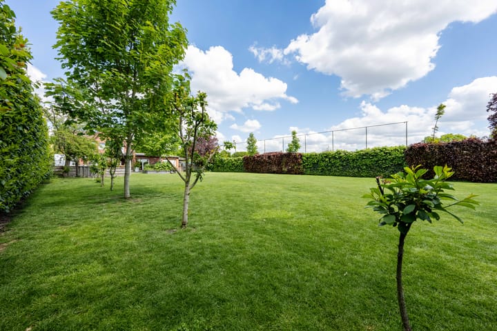 Photo 2 of Bürgermeister Brüningstrasse 10