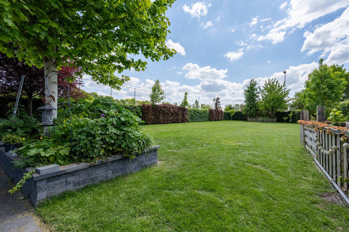 Photo 50 of Bürgermeister Brüningstrasse 10