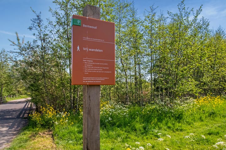 Photo 49 of Oostvoornestraat 6