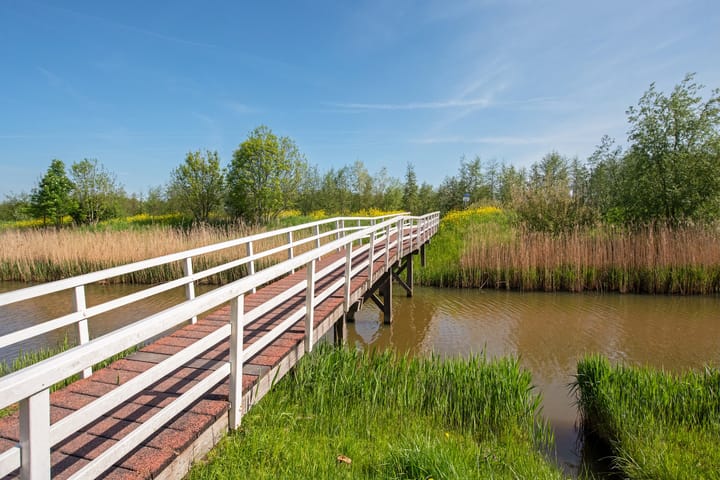 Photo 50 of Oostvoornestraat 6