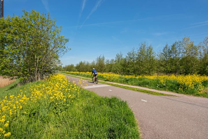 Photo 51 of Oostvoornestraat 6