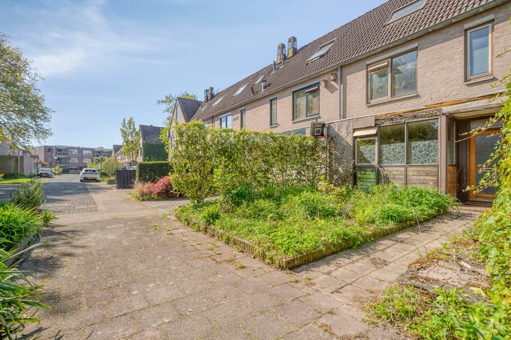 Foto 29 van Klarinet 375