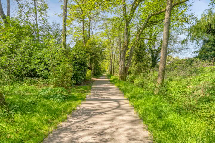 Foto 33 van Klarinet 375