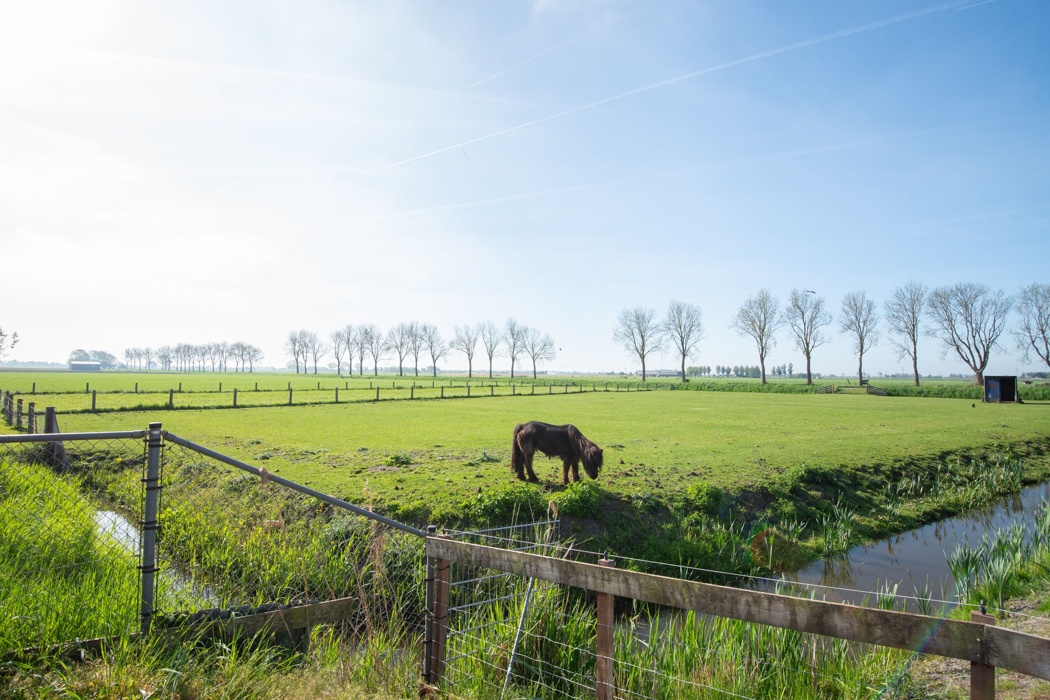 Foto 42 van Dorpsweg 93