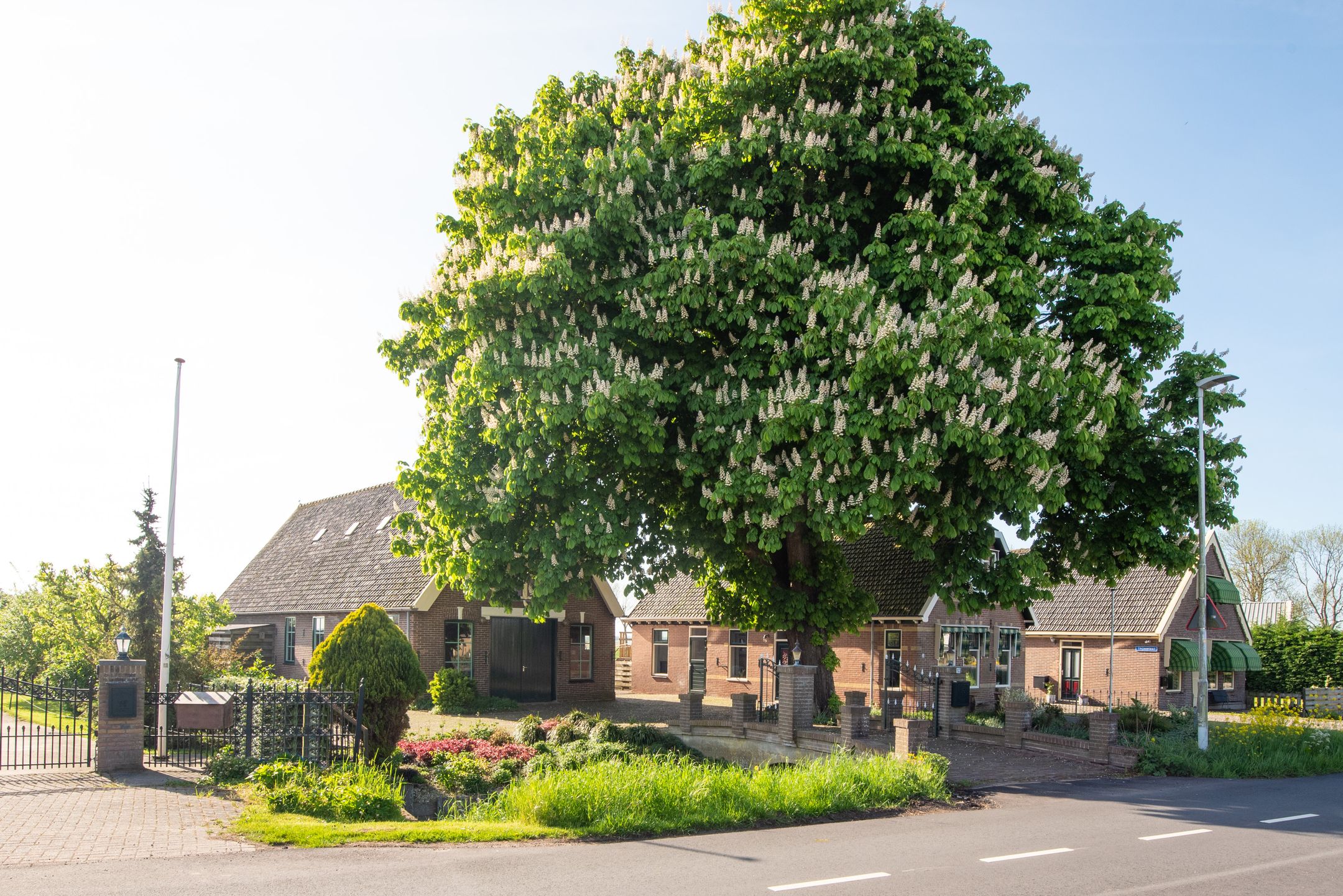 Foto 48 van Dorpsweg 93