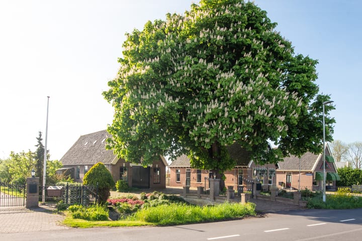 Foto 48 van Dorpsweg 93