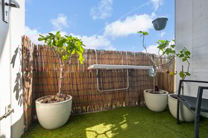 Foto 16 van Mezenlaan 113