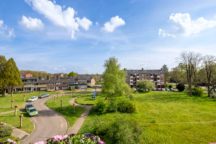 Foto 17 van Mezenlaan 113