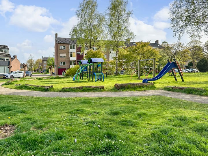 Foto 31 van Mezenlaan 113