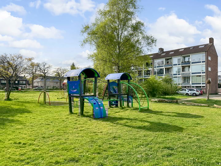 Foto 32 van Mezenlaan 113