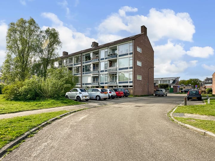 Foto 33 van Mezenlaan 113