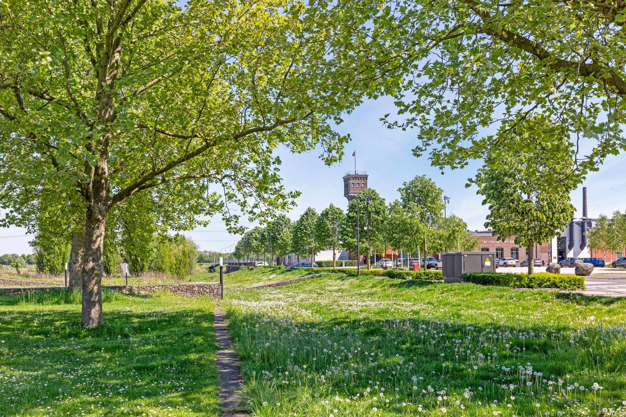 Foto 39 van Dr Schaepmanstraat 23-B