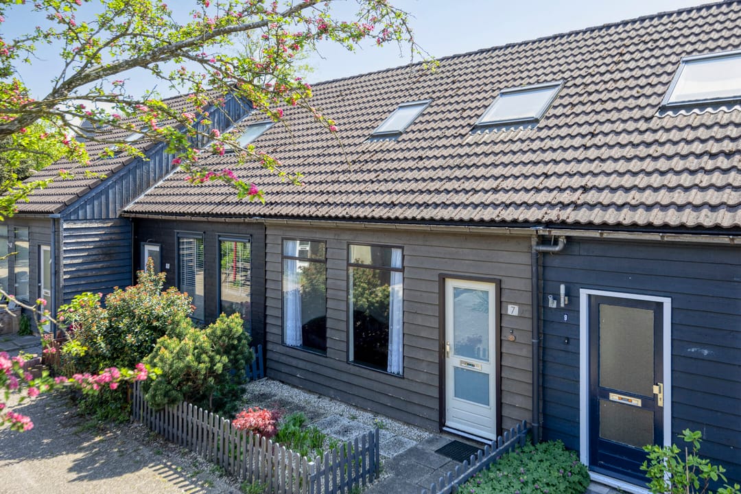 Foto 1 van Houtduif 7