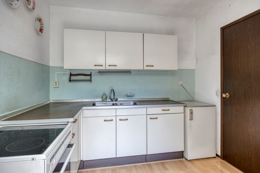 Foto 8 van Houtduif 7