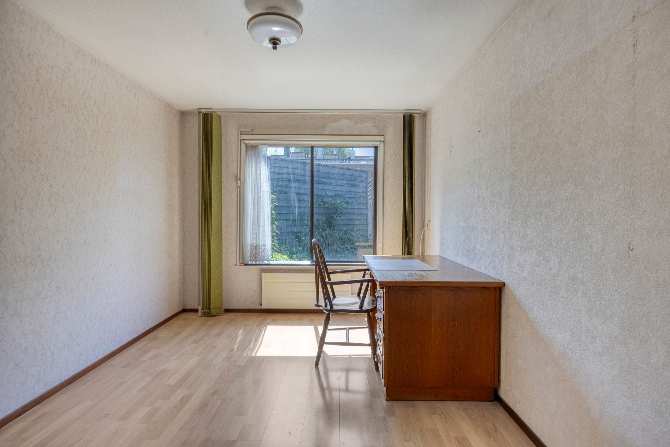 Foto 9 van Houtduif 7