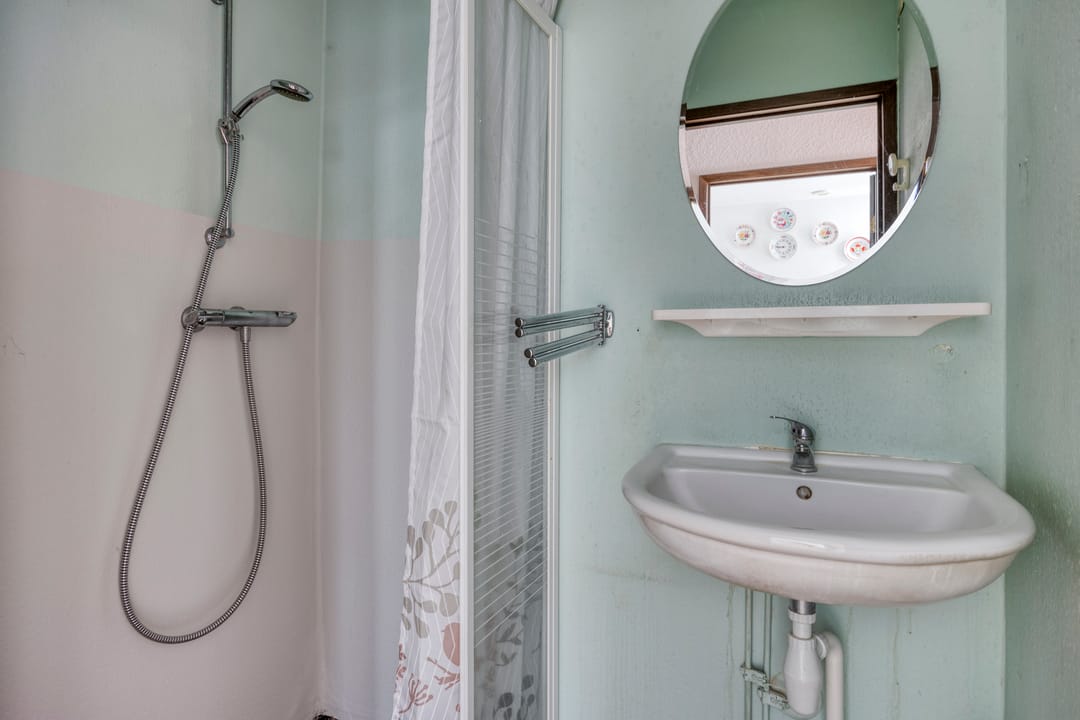 Foto 11 van Houtduif 7