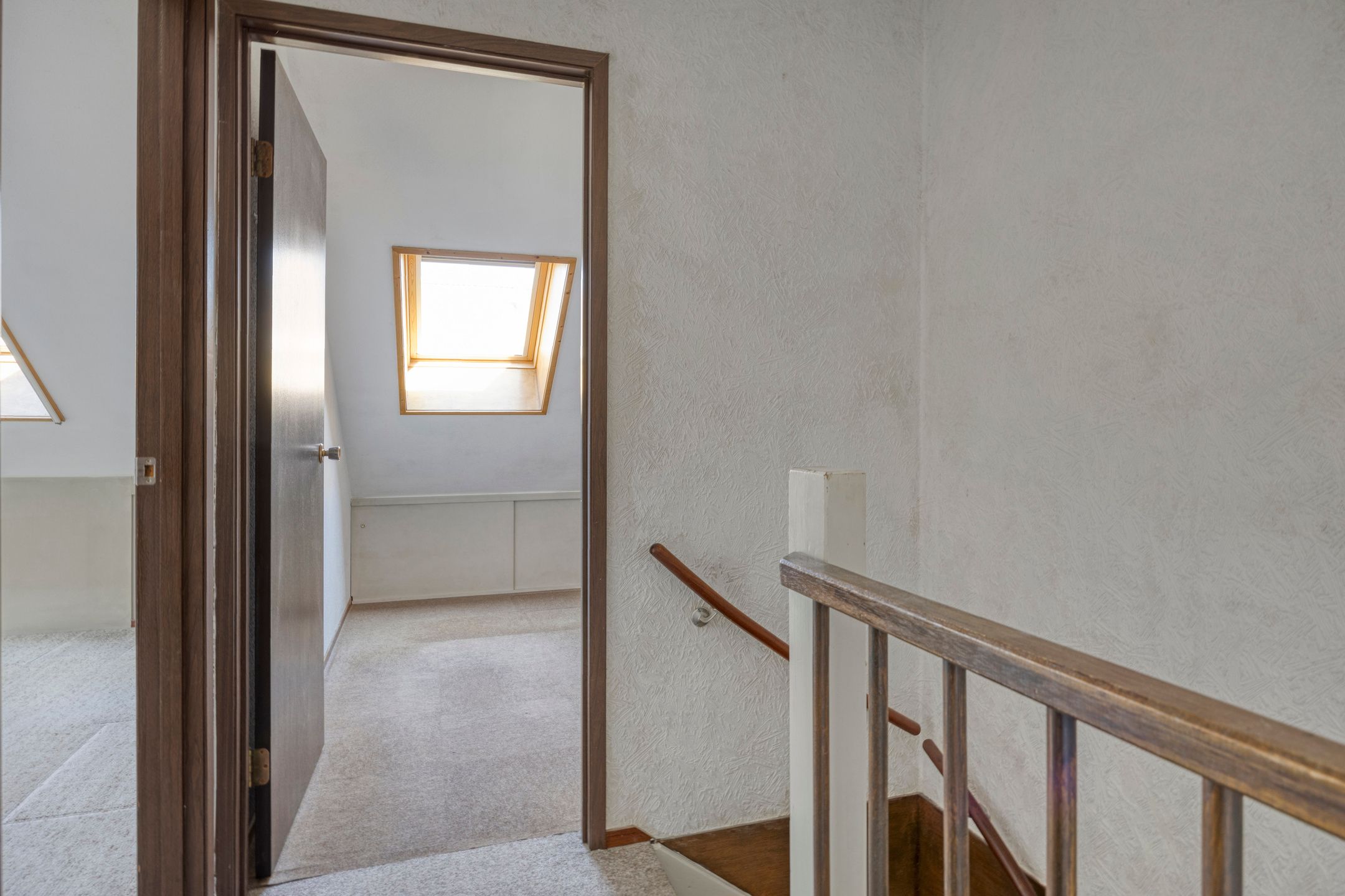 Foto 12 van Houtduif 7