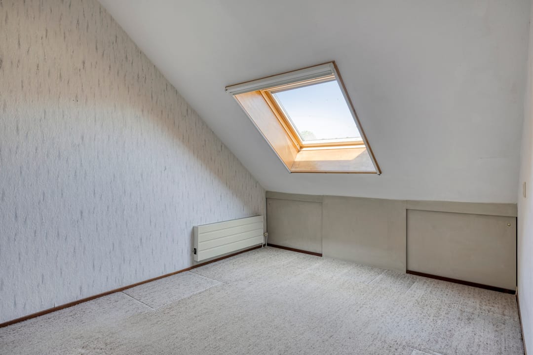 Foto 13 van Houtduif 7