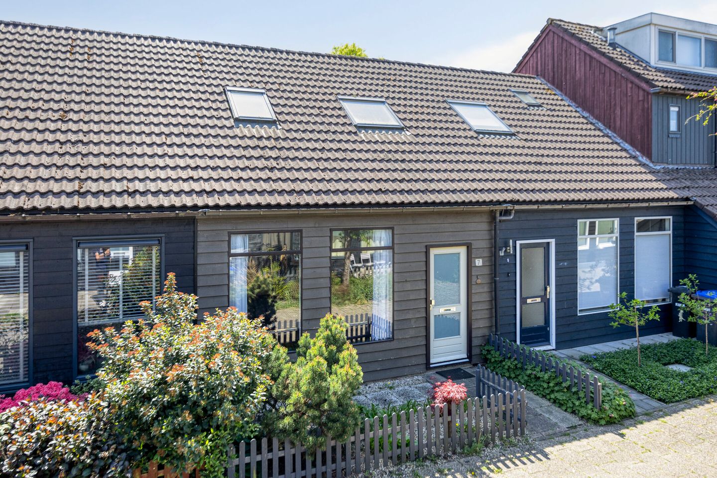 Foto 20 van Houtduif 7