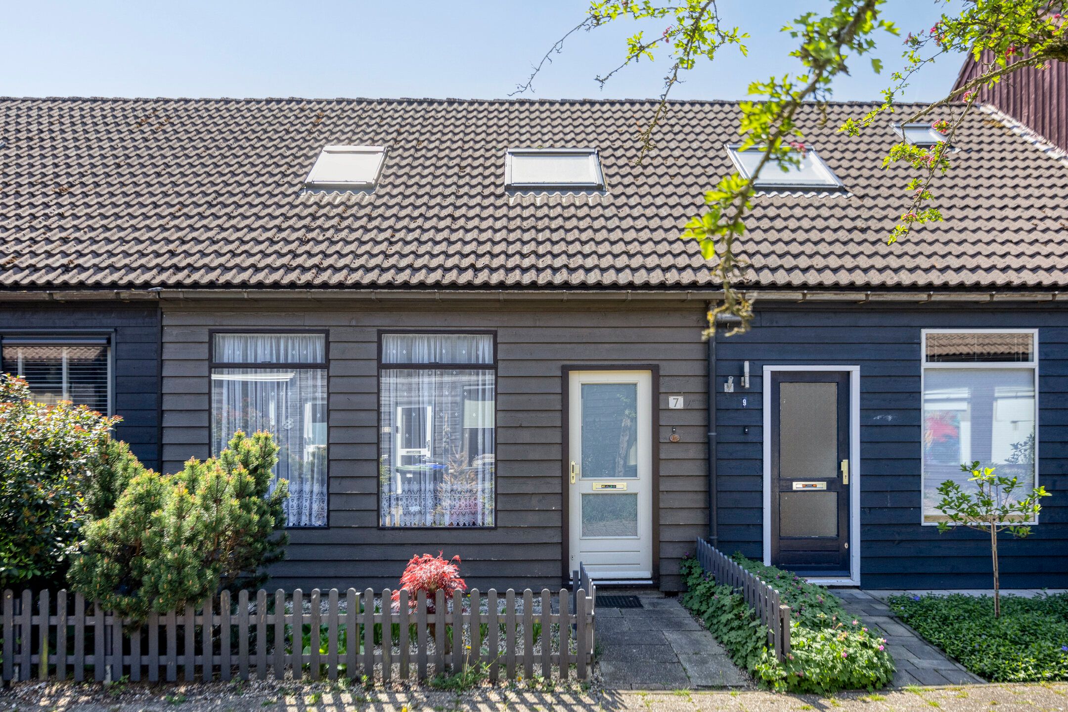 Foto 21 van Houtduif 7