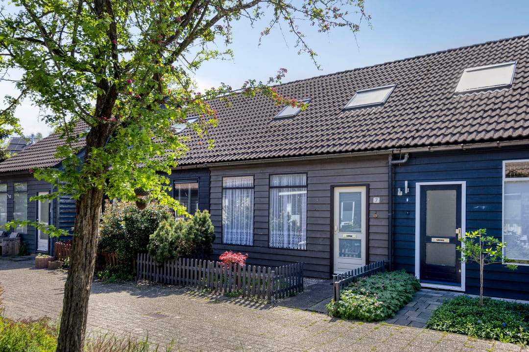 Foto 22 van Houtduif 7