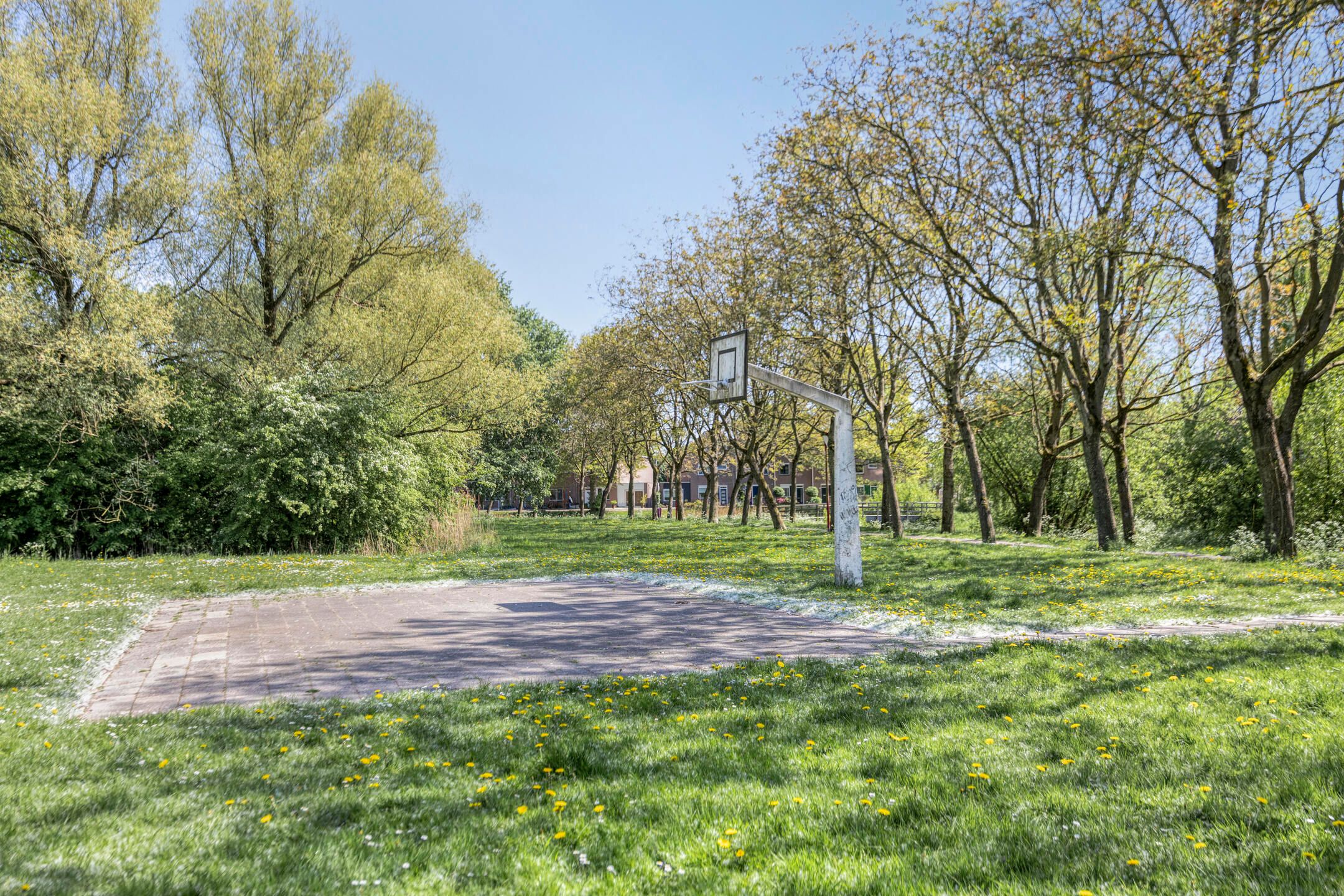 Foto 24 van Houtduif 7