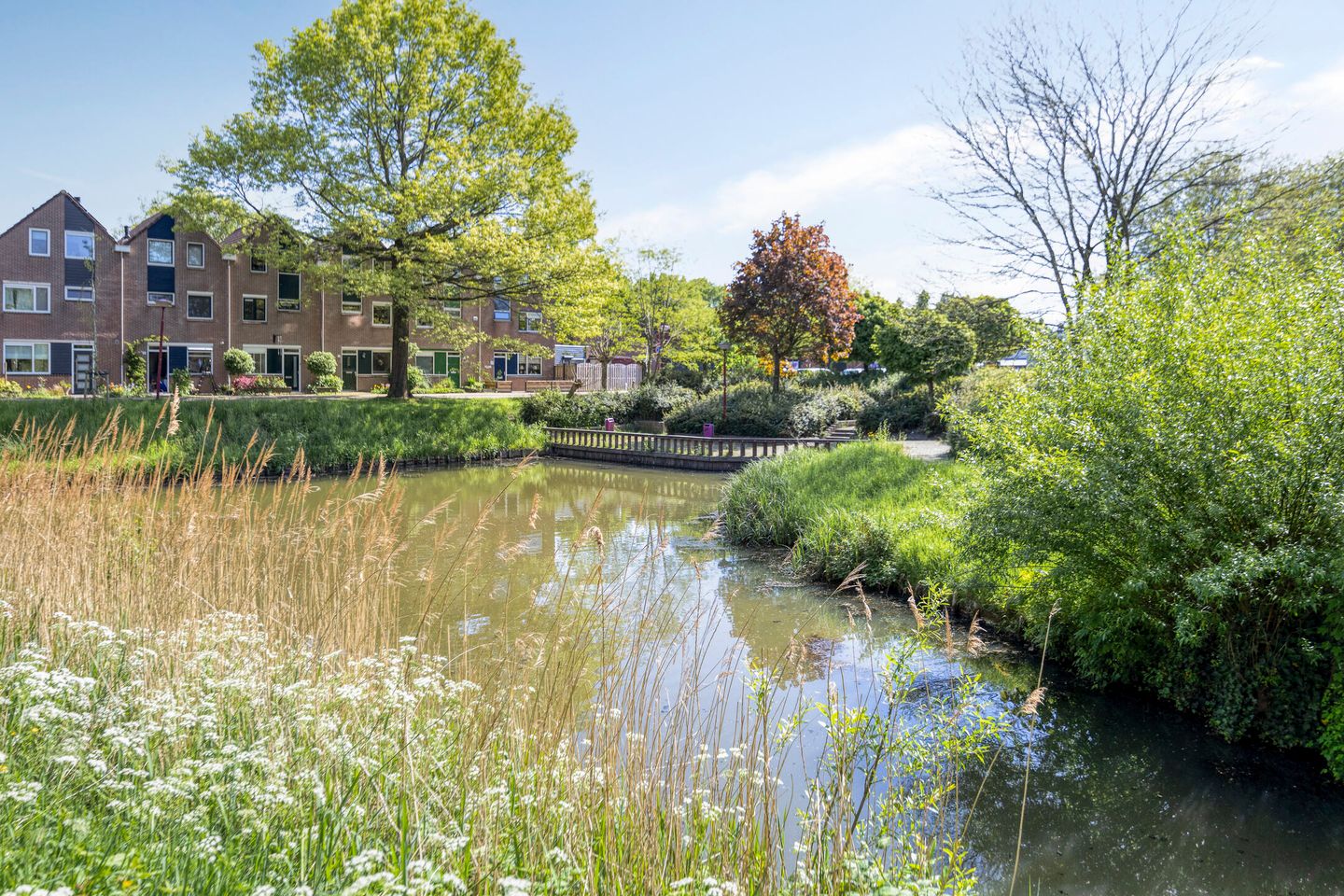 Foto 25 van Houtduif 7