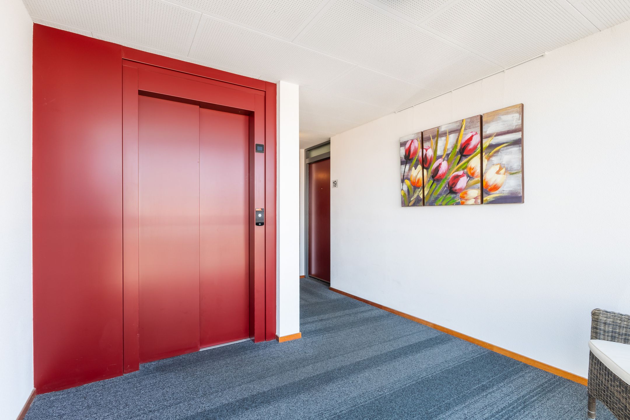 Foto 12 van Wijngaard 13