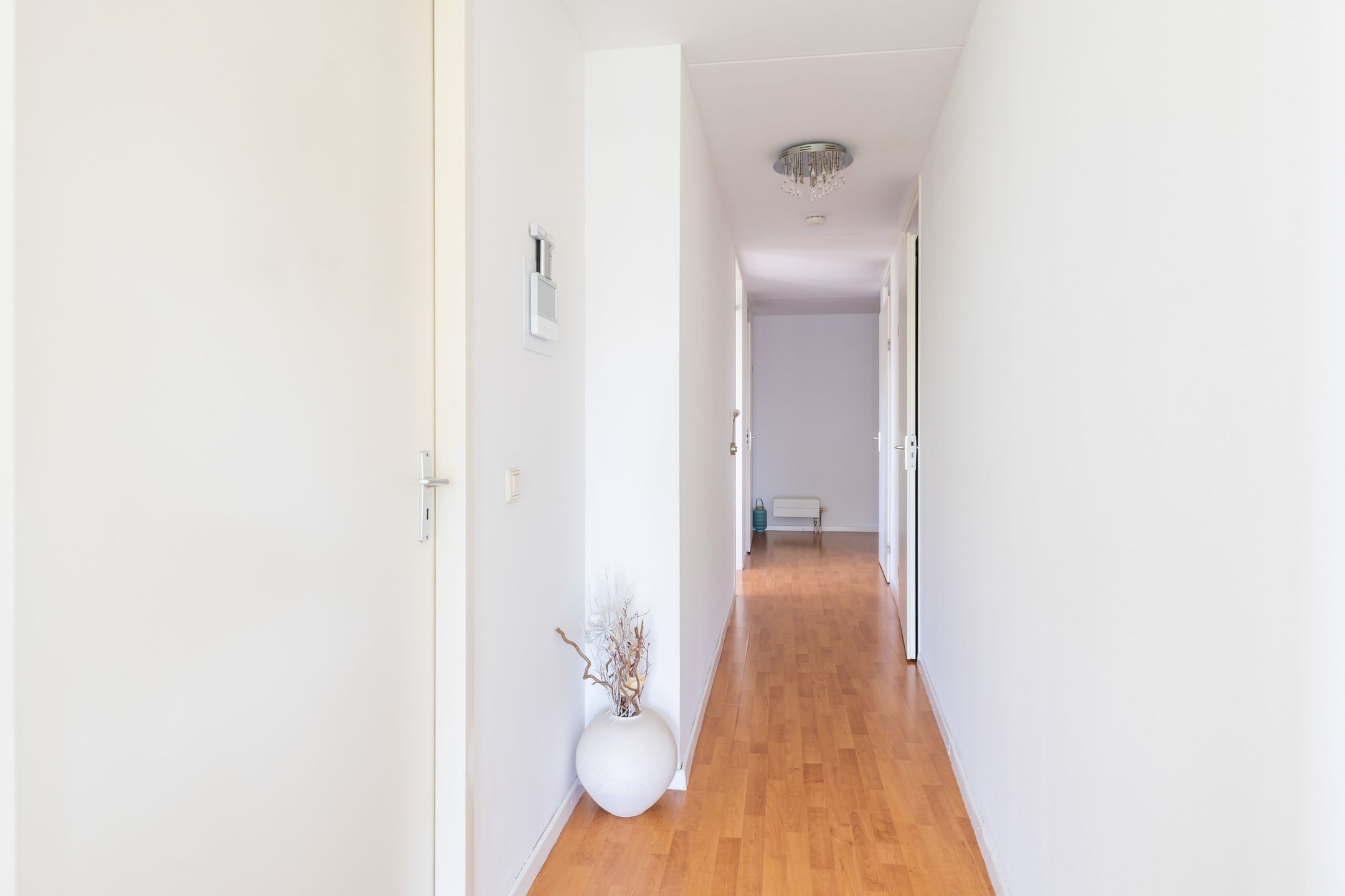 Foto 18 van Wijngaard 13