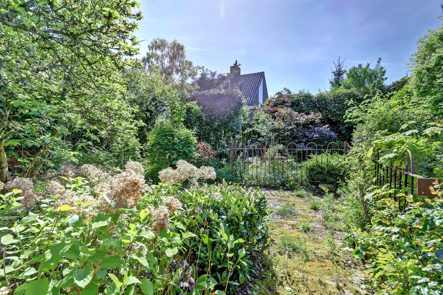 Foto 5 van den Blieklaan 41