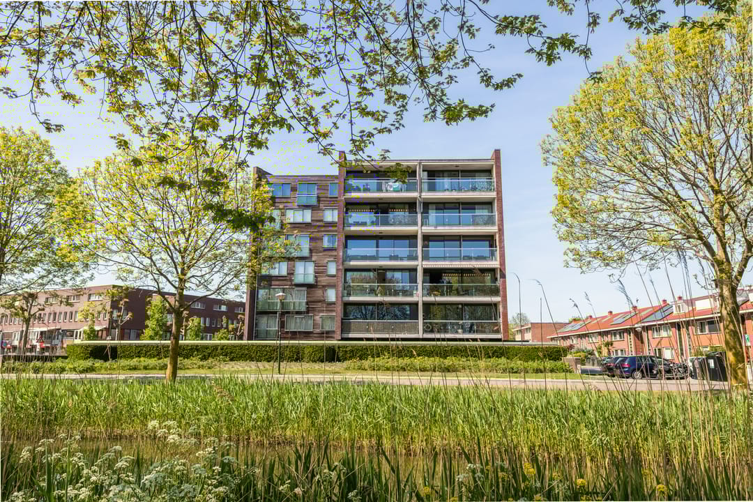 Foto 52 van Wijngaard 13