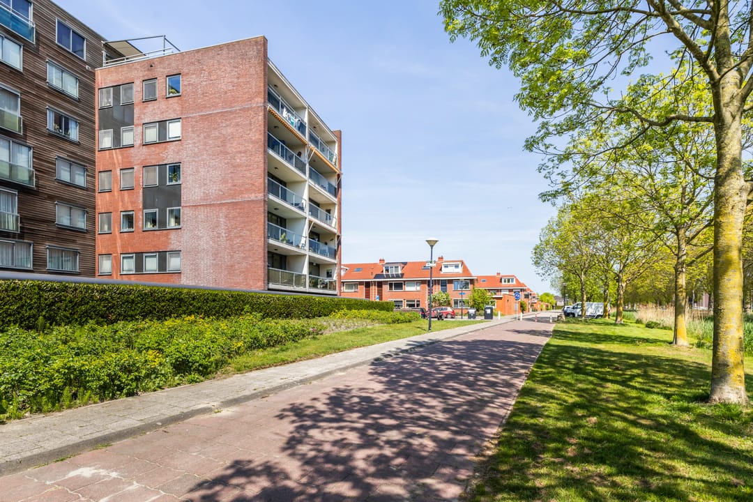 Foto 53 van Wijngaard 13