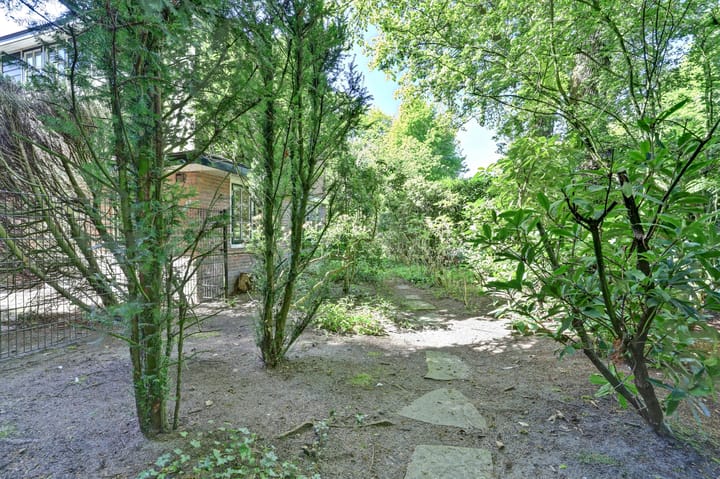 Foto 22 van den Blieklaan 41