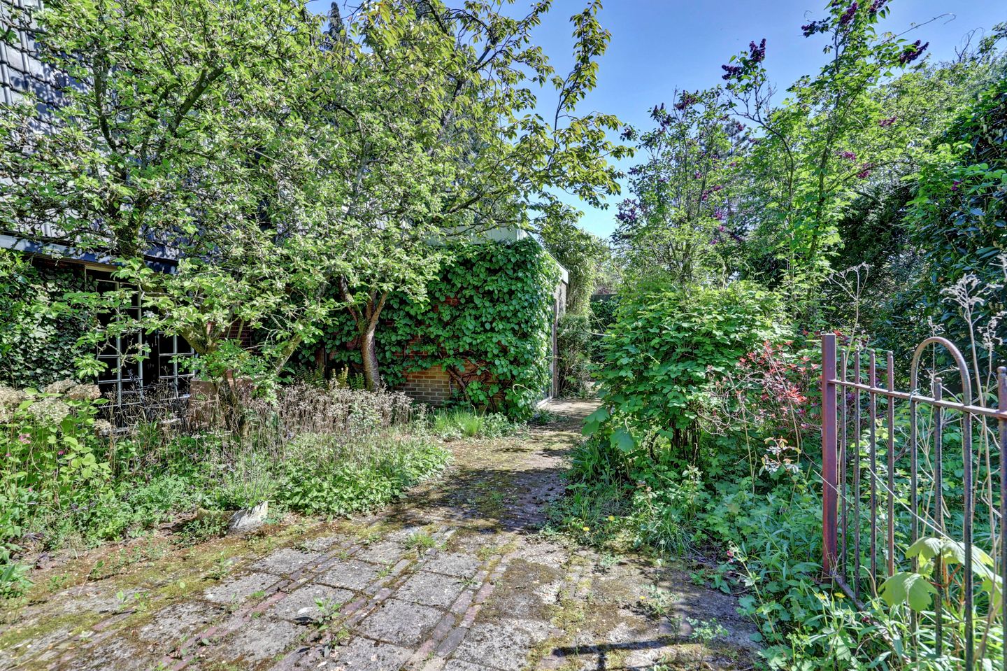 Foto 25 van den Blieklaan 41