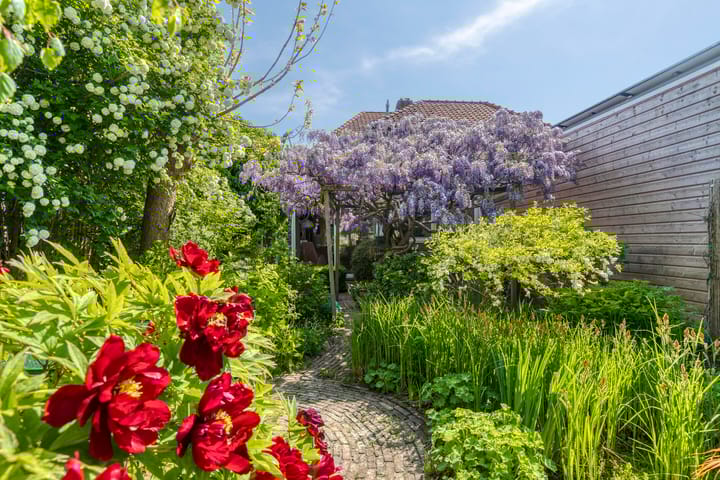 Foto 18 van Talmaweg 30