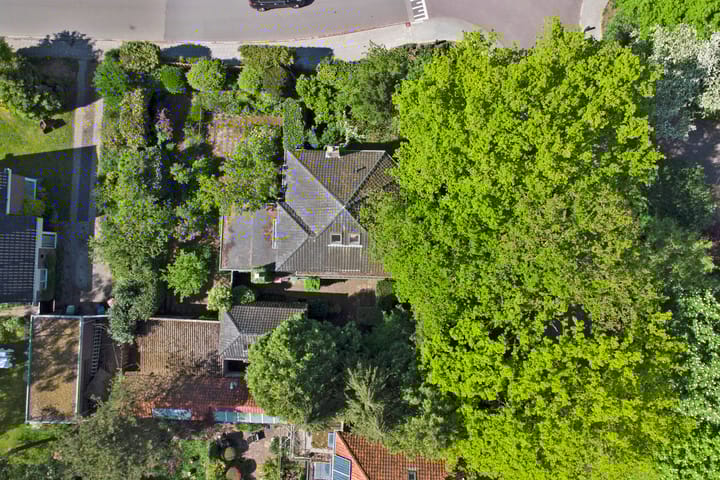 Foto 43 van den Blieklaan 41